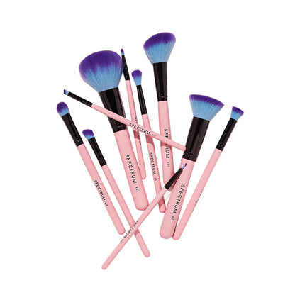 10 Piece Essential Makeup Brush Set with Cosmetic Bag