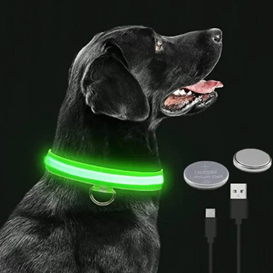 USB C Rechargeable Ultimate Bright LED Safety Collar for All Dogs